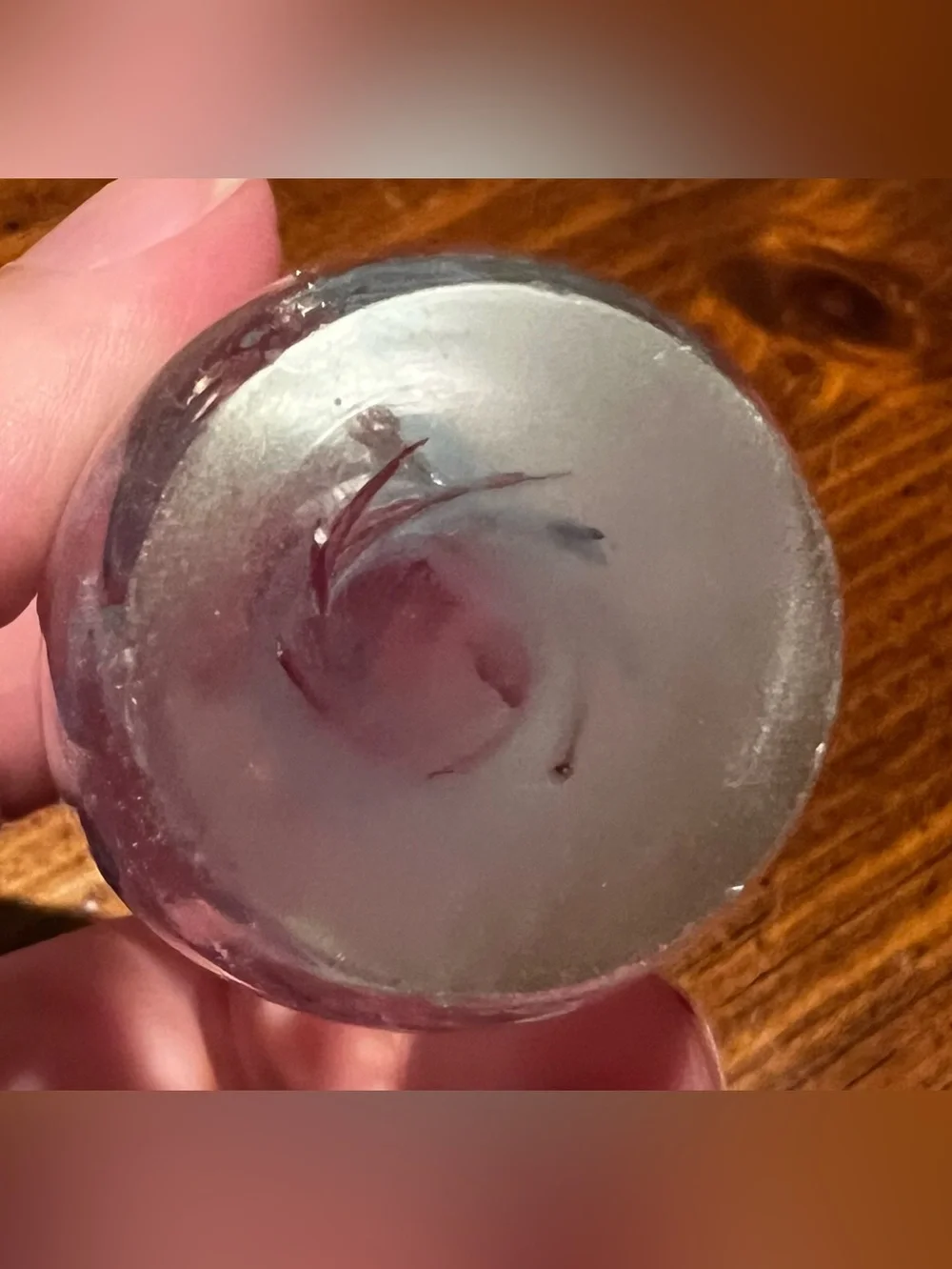 VTG Jellyfish Blue & Pink Blown Glass Egg-shaped Paperweight 3 Inches